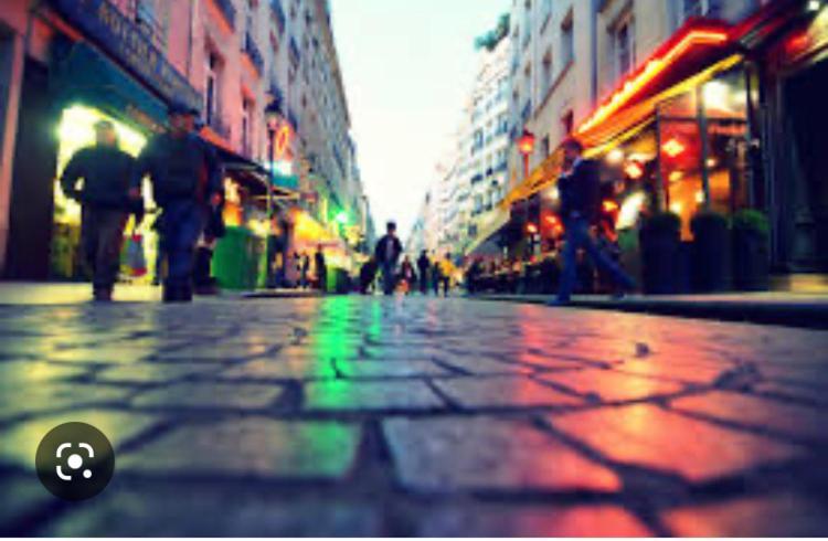 Petit Au Coeur De Appartamento Parigi